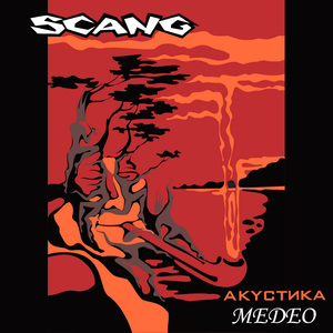 Над Невой (Акустика)