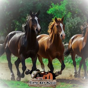 Un Guayabo Motolito y Despistada de Amor