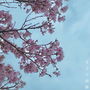 さくら前線