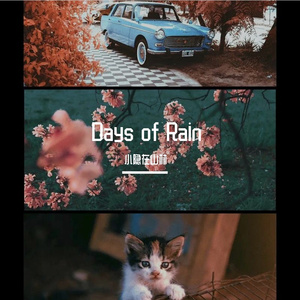 Days of Rain