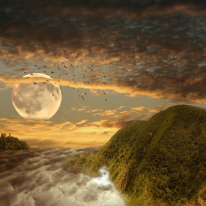 반짝반짝 작은별 (별을 세다)