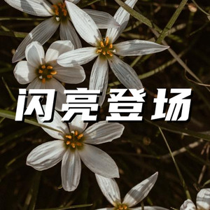 闪亮登场 热血摇滚