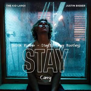 Stay(DJ Carry Bootleg)