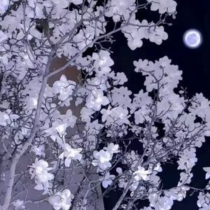 坂本龍一-圣诞快乐劳伦斯先生