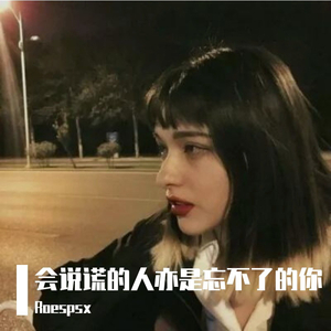 会说谎的人亦是忘不掉的你（Continuous DJ mix）