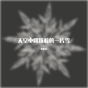 天空中跳跃着的一片雪