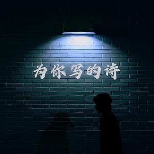 为你写的诗