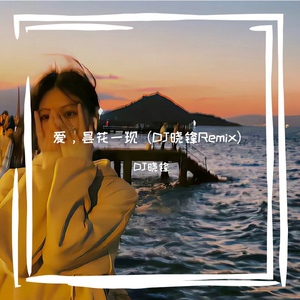 爱，昙花一现（DJ晓锋 remix）