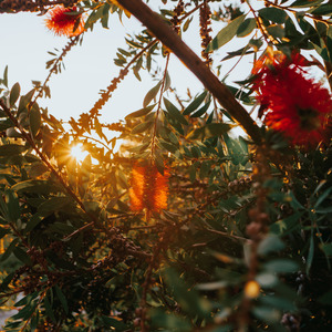 Gazipur (Instrumental Version)