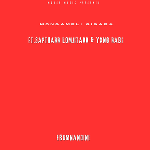 Ebumnandini