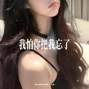 我怕你把我忘了 (NightClub Mix)
