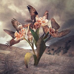 Marvels of Creatures and Strange Things Existing: III. The Sphinx