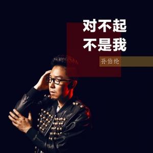 对不起不是我