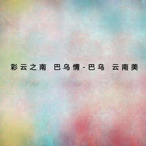 月光下的凤尾竹