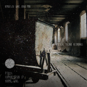 Boson (Original Mix)