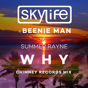 Why (Chimney Records Mix)