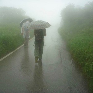 最美的雨天 (prod.tritri)