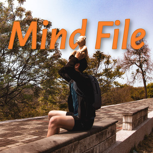 Mind File