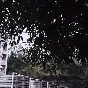 十一月、阵雨