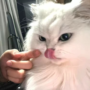 liuhualong