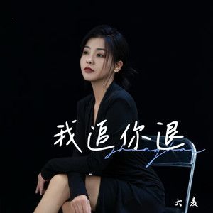 我追你退 (DJ彭锐版)