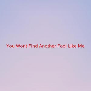 You Won't Find Another Fool Like Me (Instrumental version originally performed by The New Seekers)