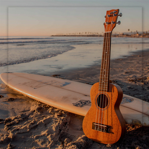 Where the Ocean Meets the Sky