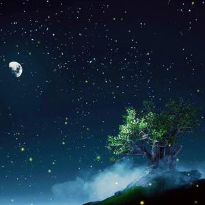 阿尔法脑波音乐 催眠曲5分钟入睡