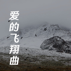 爱的飞翔曲