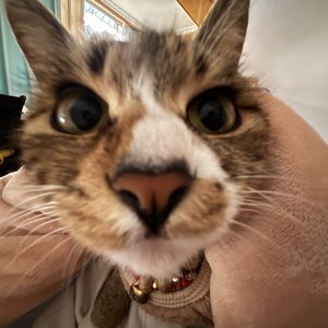 你也曾说害怕失去我