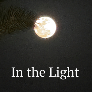 In the Light