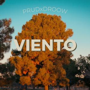 Viento