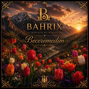Beceremedim