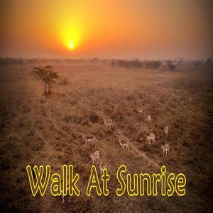 Domino Es Fallingfried Bones