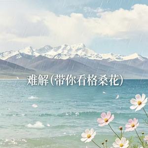 难解(带你看格桑花)