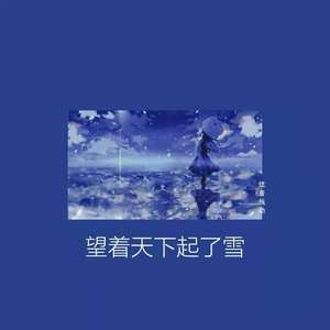 望着天下起了雪