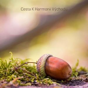 Vnitřní Klid U Mnišského Oltáře