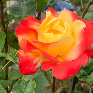 Three Thirty Three (feat. Colin Benun Keys)