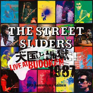 あんたがいないよる Live at Nippon Budokan 2023 Mix & Remastering