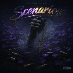 Scenarios
