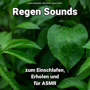 Regen Sound für Geist und Körper