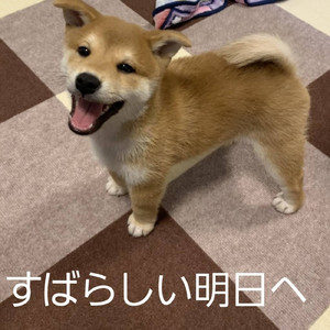 素晴らしい明日へ