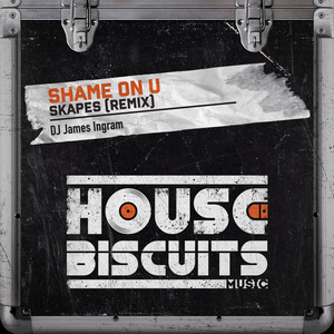 Shame On U (Skapes Extended Remix )