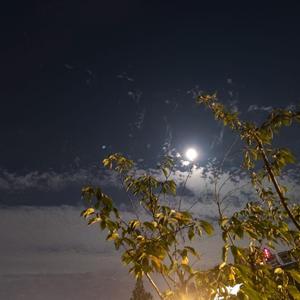 The Kid LAROI-STAY（那就說好了我做你心事的靠山 remix）