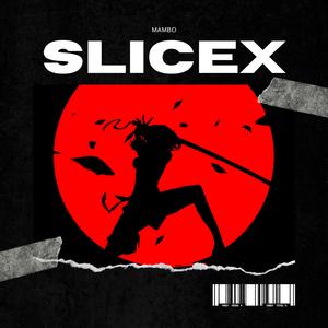 SliceX