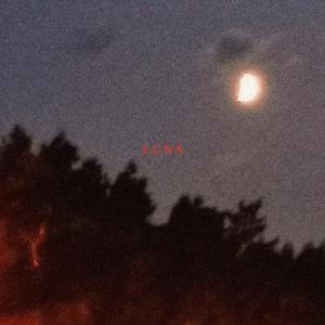 Piosenka Ktora Zaspiewam Ostatniego Dnia