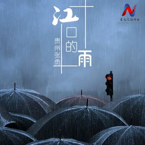 江口的雨