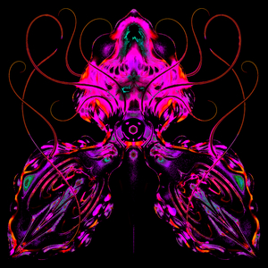 Alice in Orchidverse