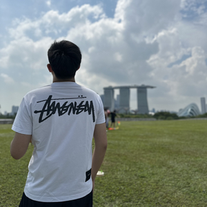 当时只道是寻常.mp3