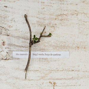 Perdido Pra Lua (feat. Barbara Mendes)